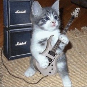 Meet your Posher, Tessa